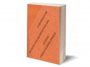Blank bookcover with clipping path