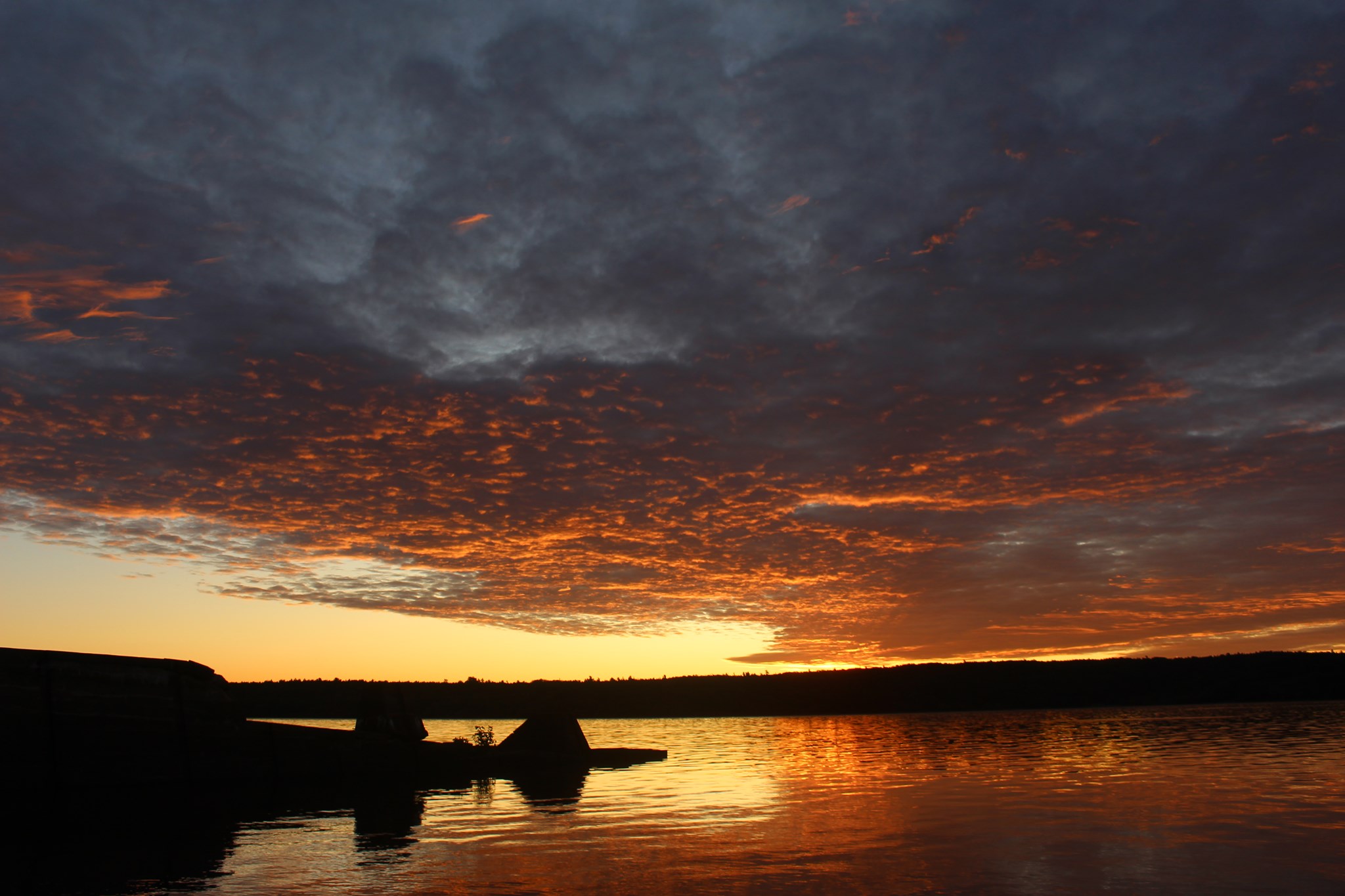 Abena Beloved Green Reviews Daystart Songflight, which highlights the aliveness of the landscape