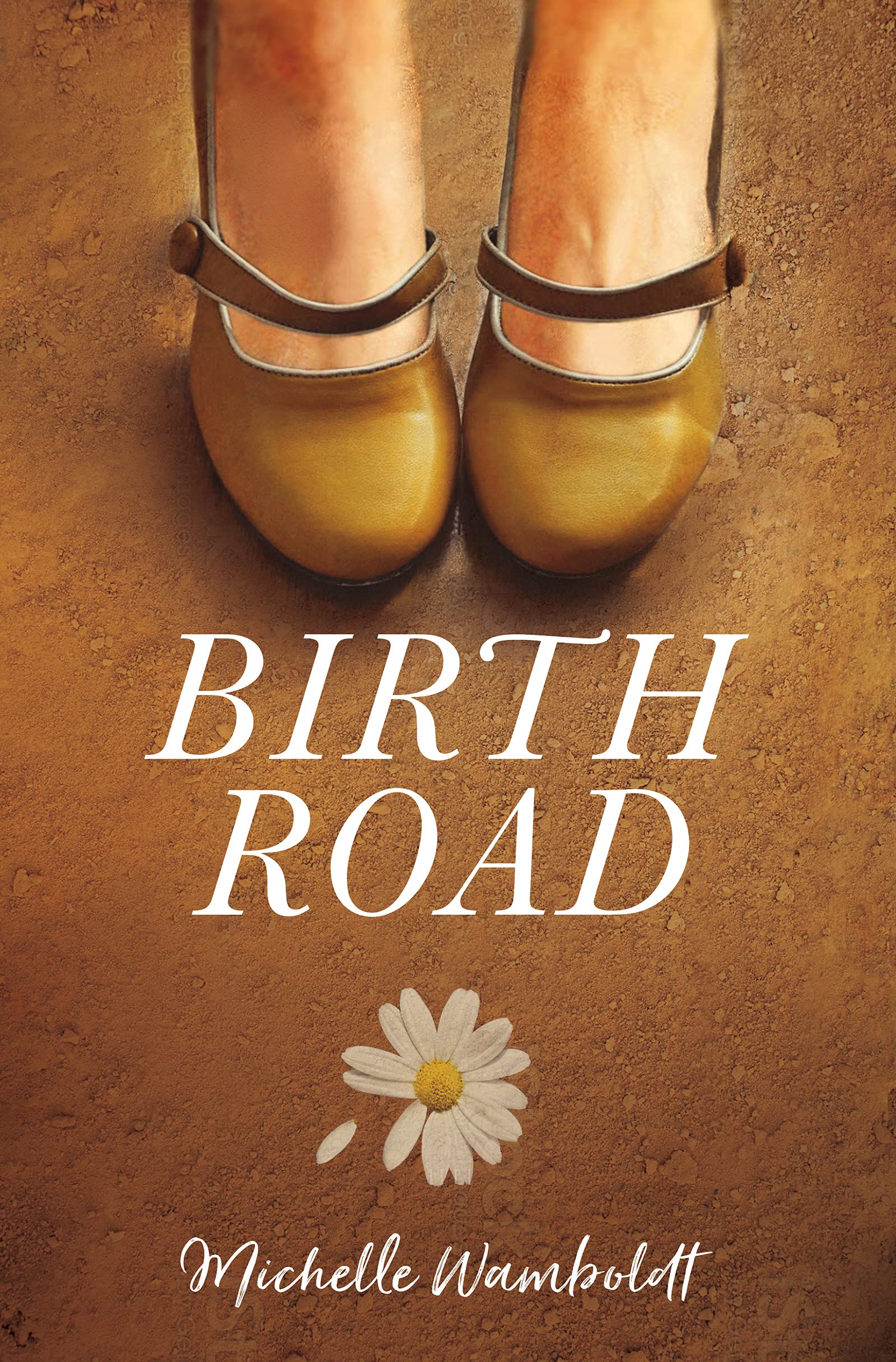 Martha Mutale Reviews Michelle Wamboldt’s Birth Road