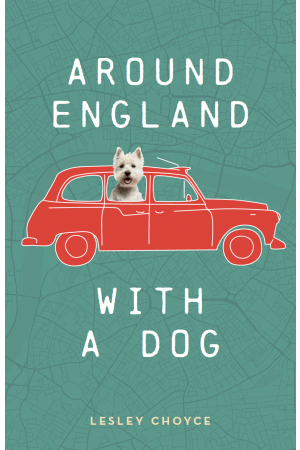 a drawing of a red car, a dog in the window, title text in white on green background