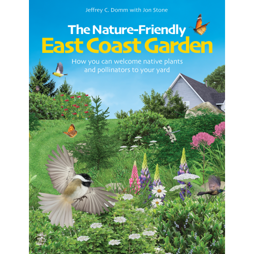 The Nature-Friendly East Coast Garden