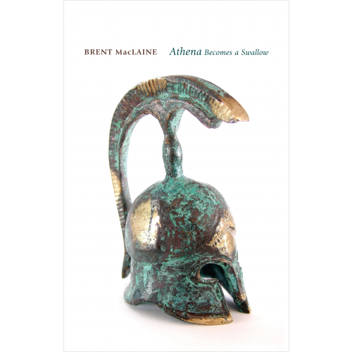 Athena Becomes a Swallow and Other Voices from The Odyssey