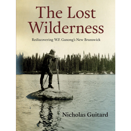 Lost Wilderness