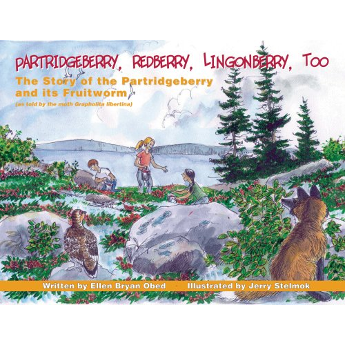 Partridgeberry, Redberry, Lingonberry, Too
