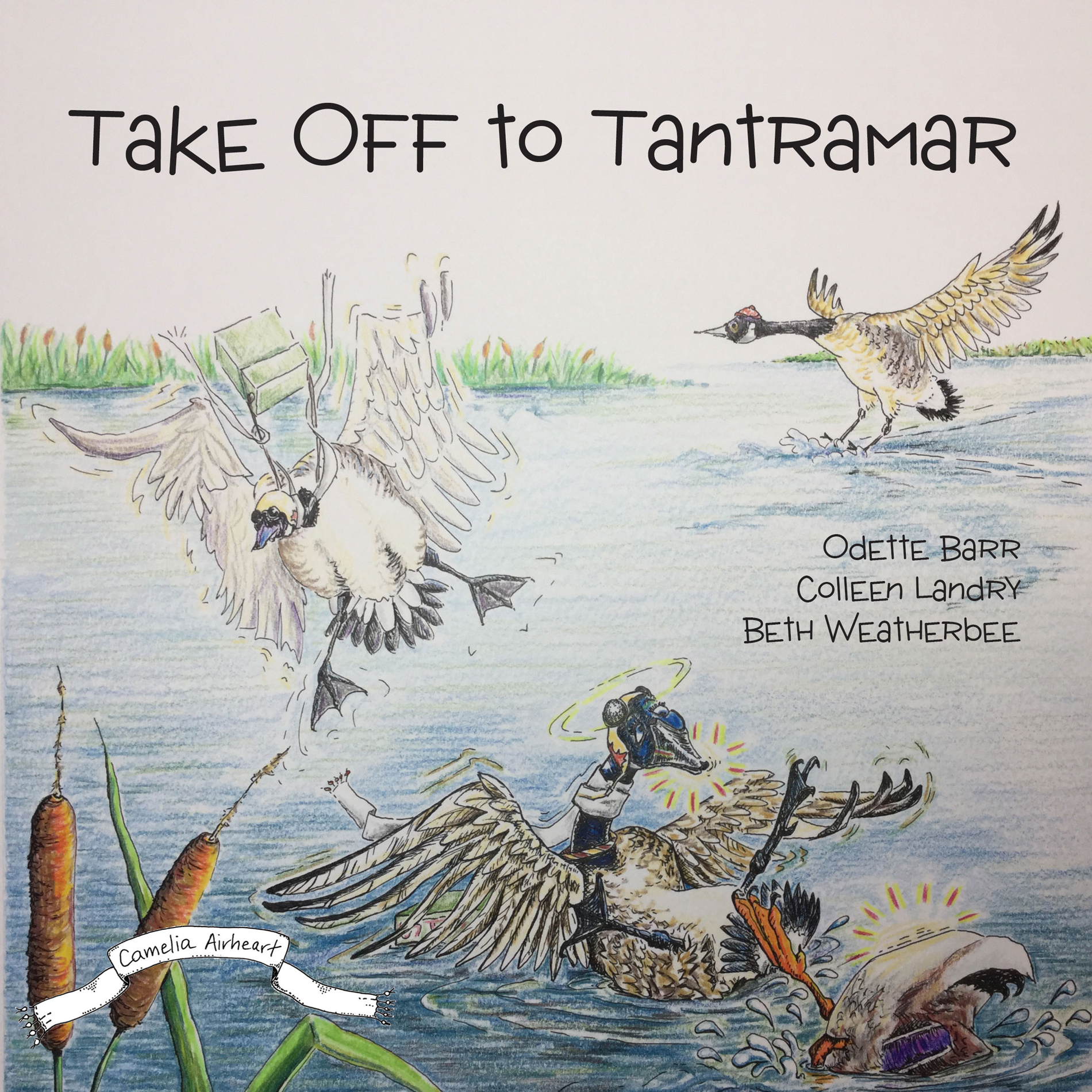 Take off to Tantramar