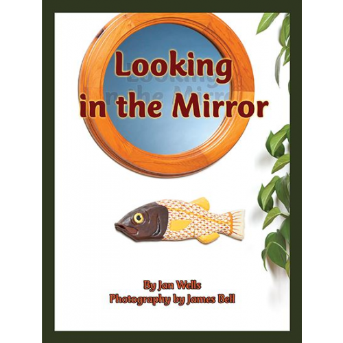 Looking in the Mirror