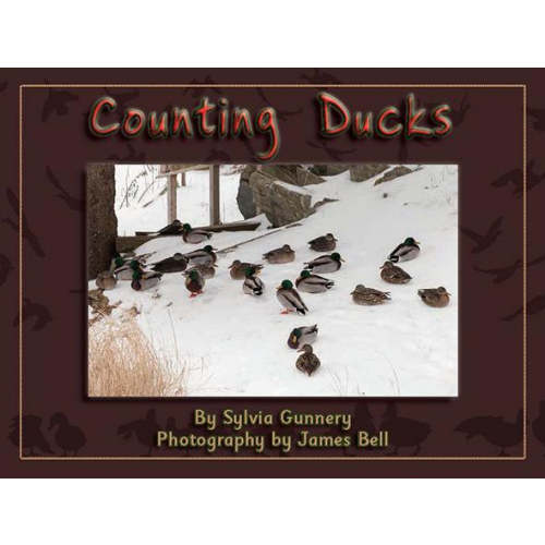 Counting Ducks