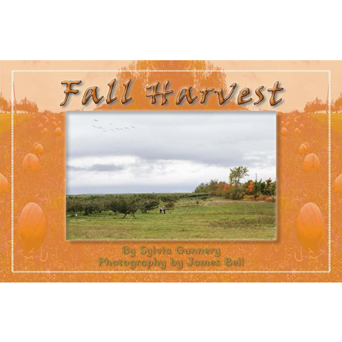 Fall Harvest (6 Pack)