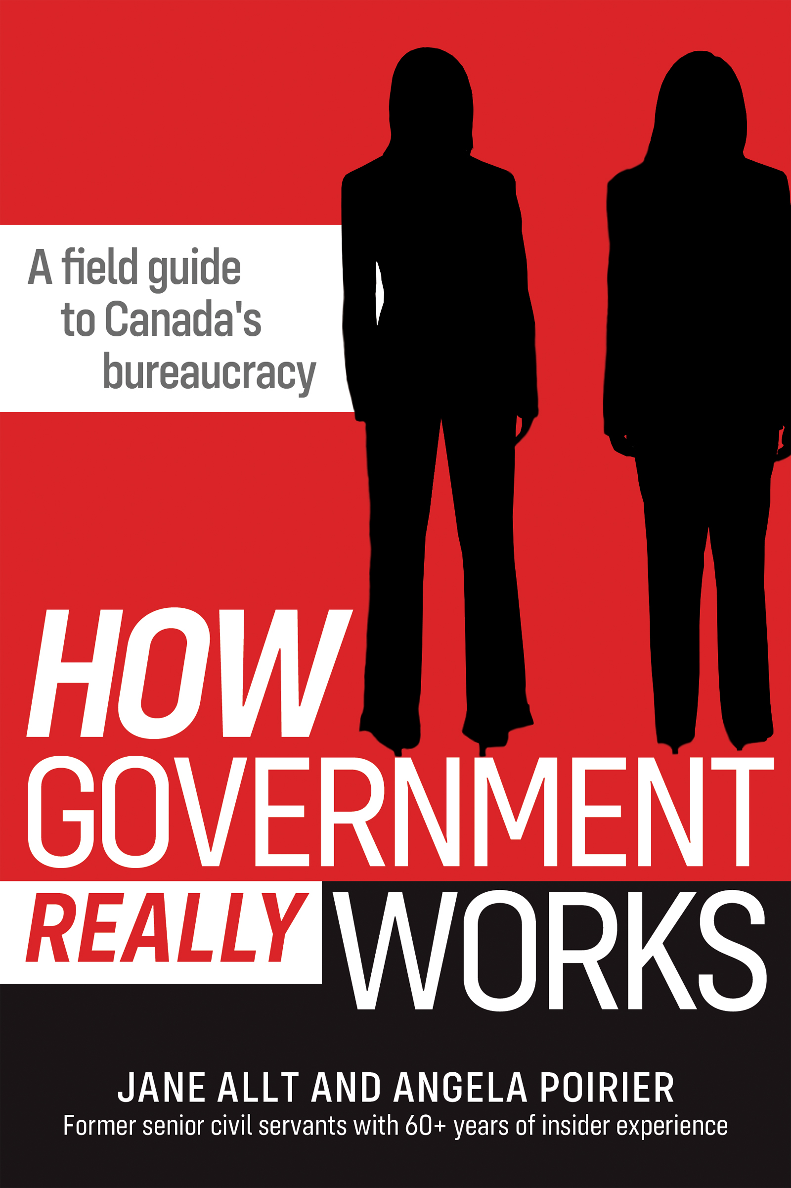 How Government Really Works
