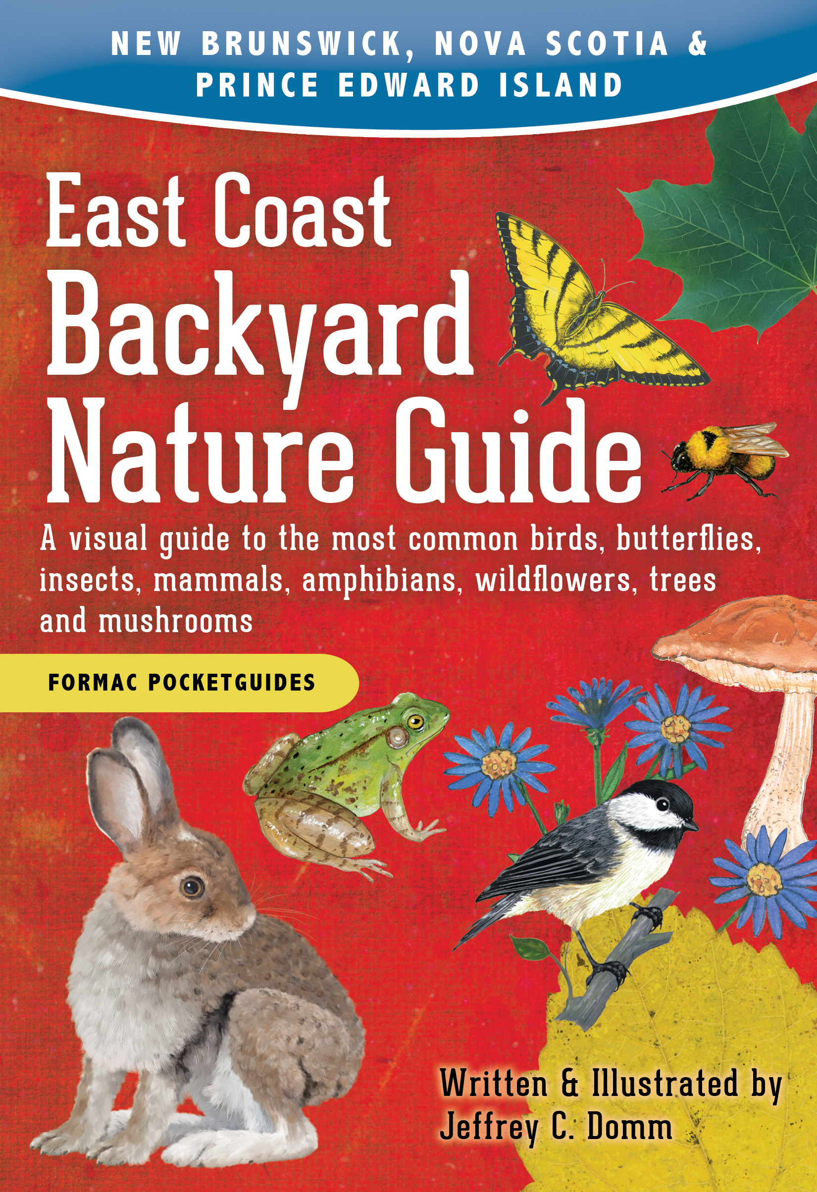 East Coast Backyard Nature Guide