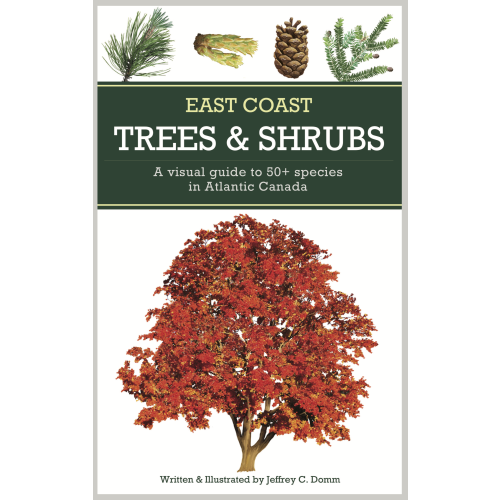 East Coast Trees and Shrubs