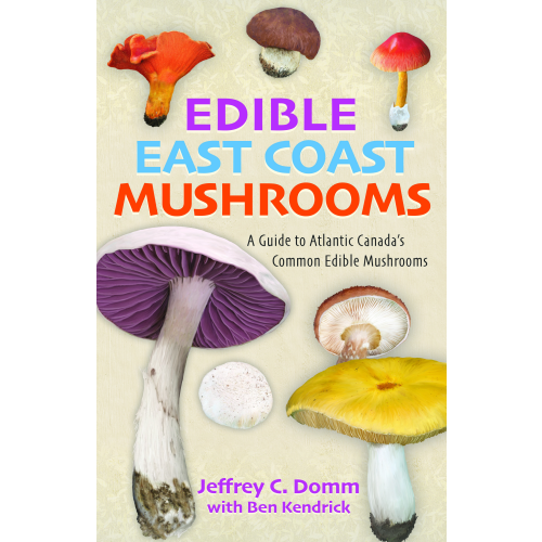 Edible East Coast Mushrooms
