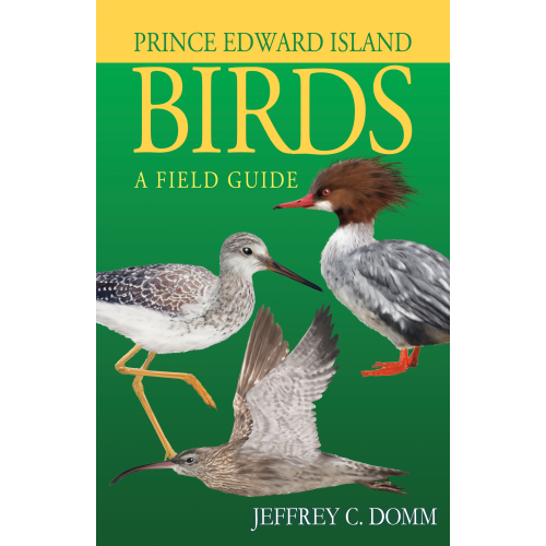 Prince Edward Island Birds