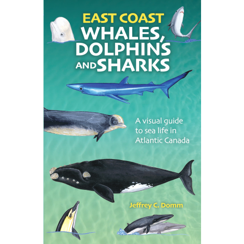 East Coast Whales, Dolphins and Sharks - New Edition