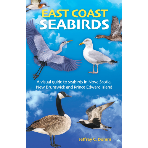 East Coast Seabirds - New Edition