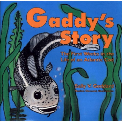Gaddy's Story