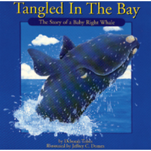 Tangled in the Bay