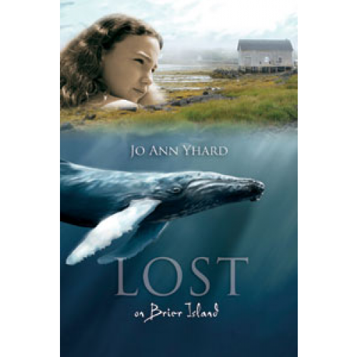 Lost on Brier Island