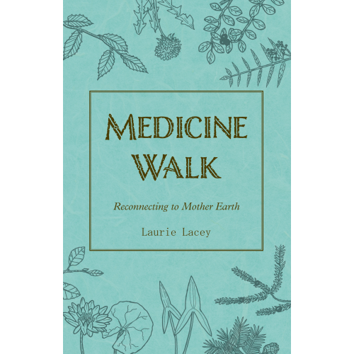 Medicine Walk (new edition)