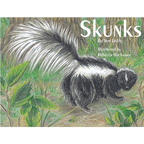 Skunks