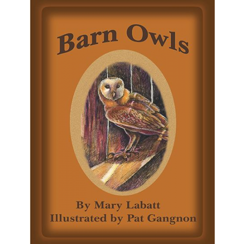 Barn Owls