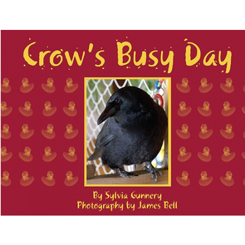 Crow's Busy Day