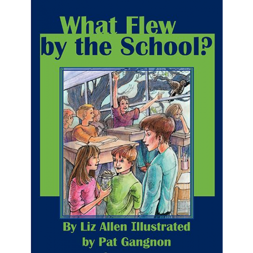 What Flew By the School?