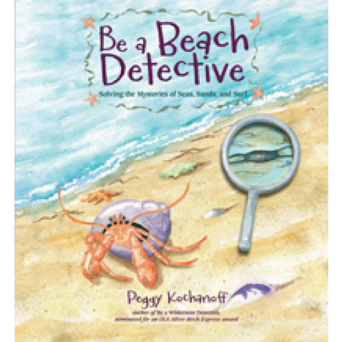 Be a Beach Detective
