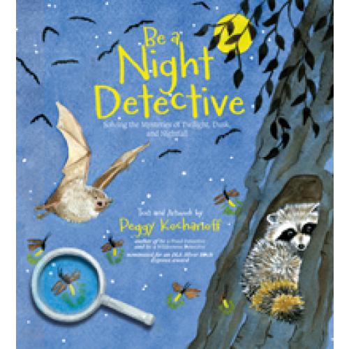 Be a Night Detective