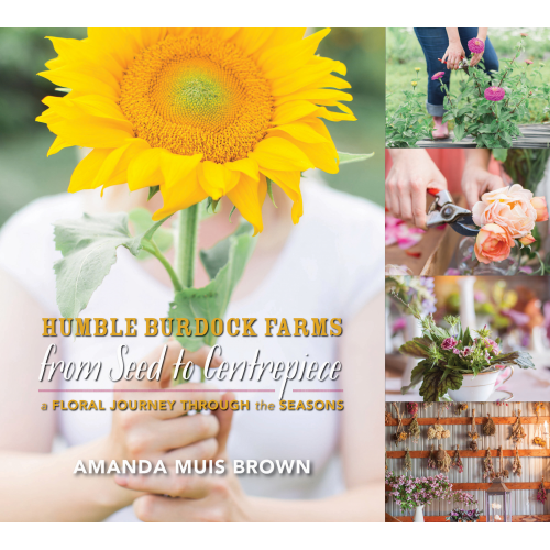 From Seed to Centrepiece