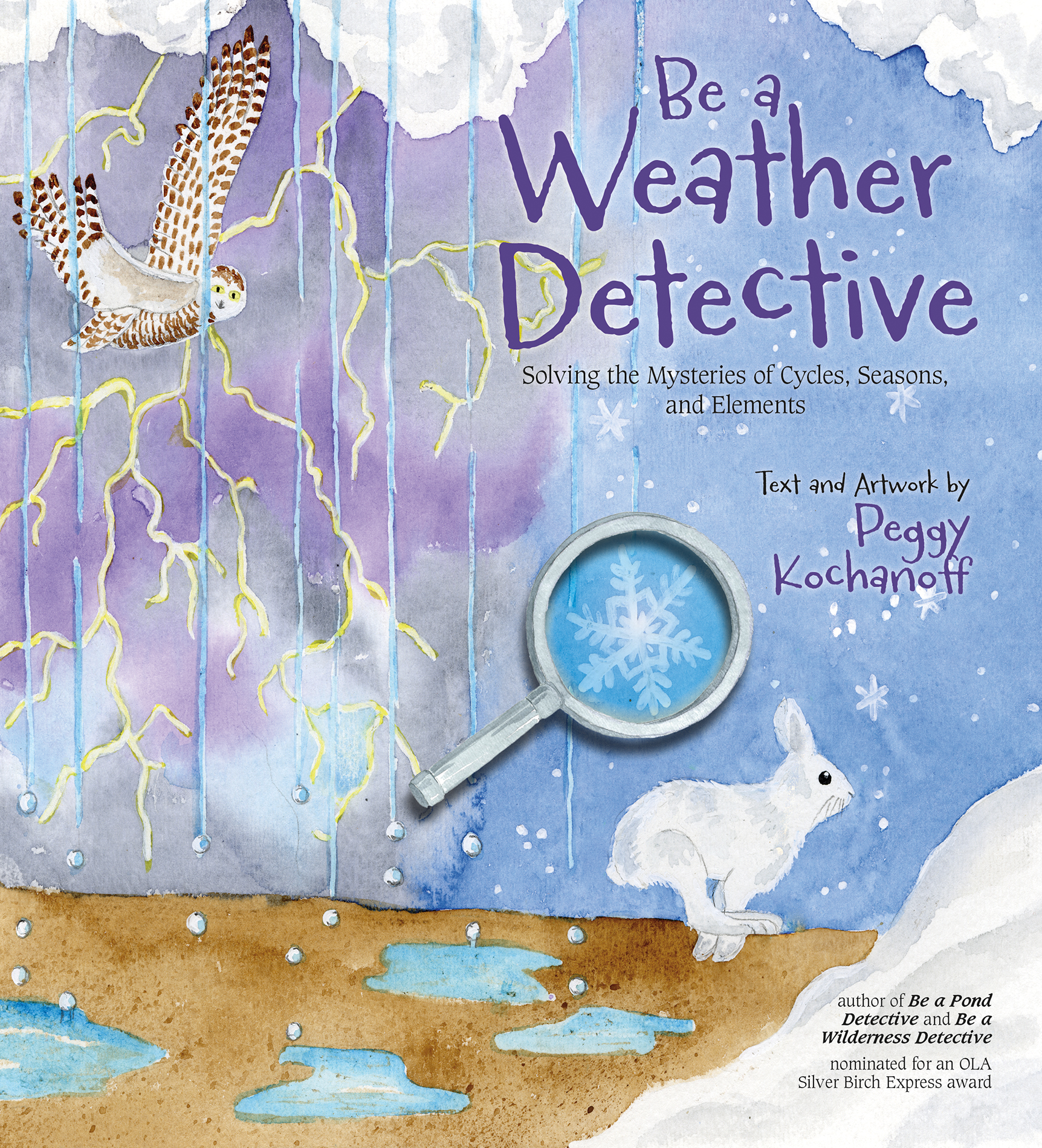 Be a Weather Detective