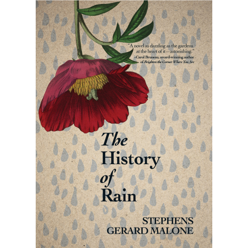 The History of Rain