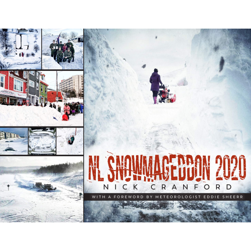 NL Snowmageddon 2020