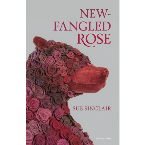 New-Fangled Rose