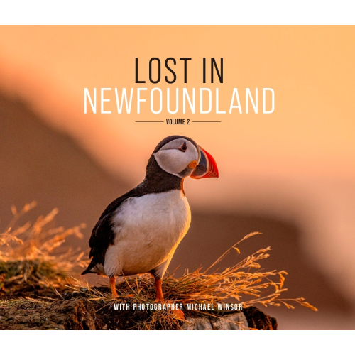 Lost in Newfoundland: Volume 2