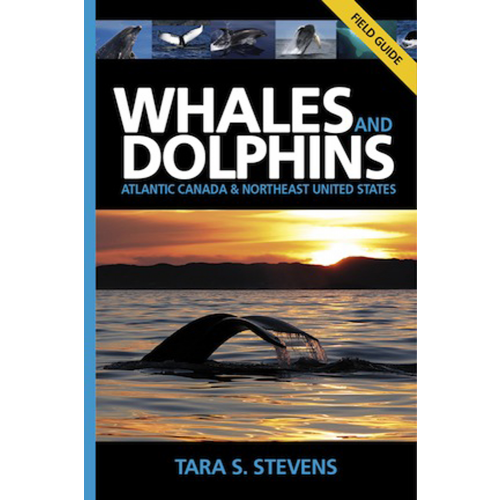 Whales and Dolphins of Atlantic Canada and Northeast United States