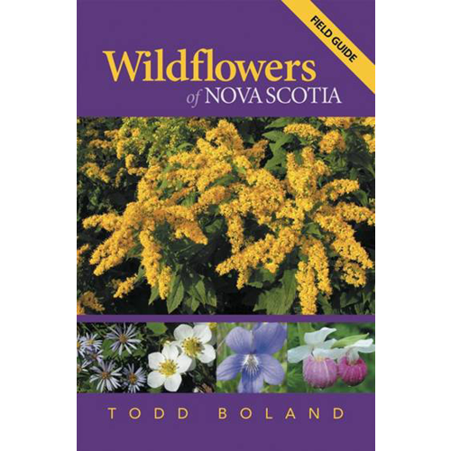 Wildflowers of Nova Scotia