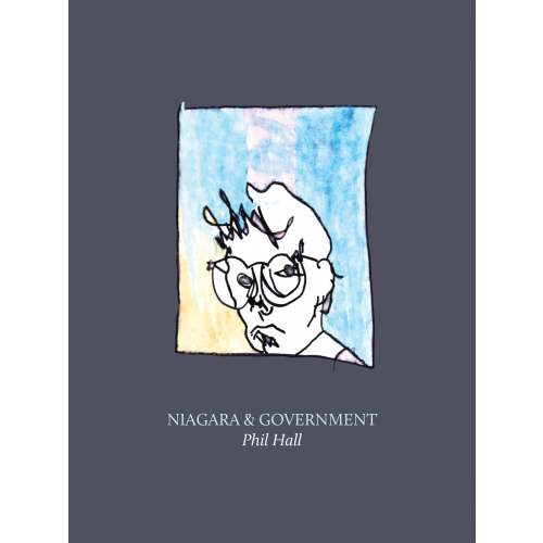 Niagara & Government