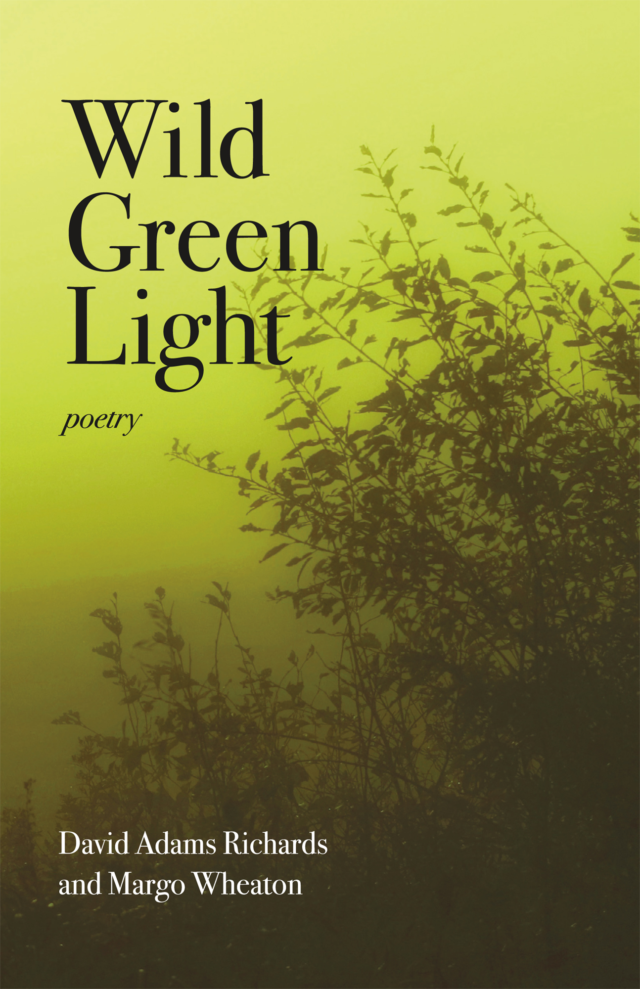 Wild Green Light